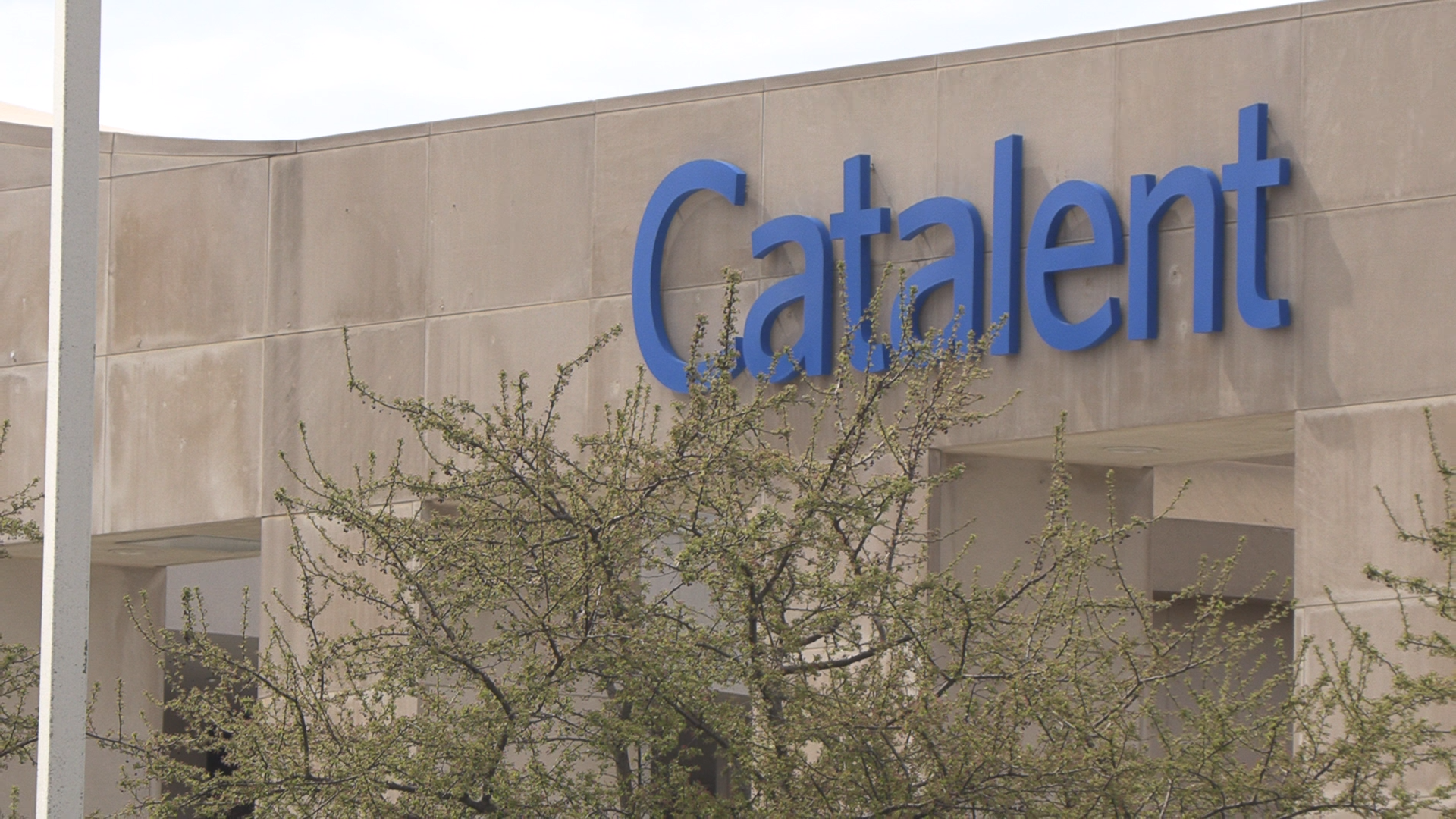 Catalent cuts more than 100 jobs at Bloomington facility